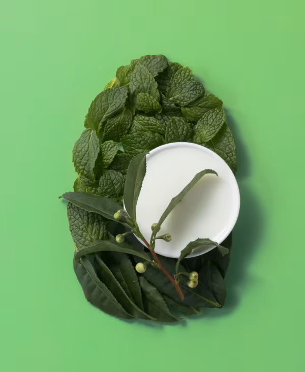 OGX Extra Strength Tea Tree Mint Scalp Treatment 118ml – Refreshing Scalp Care